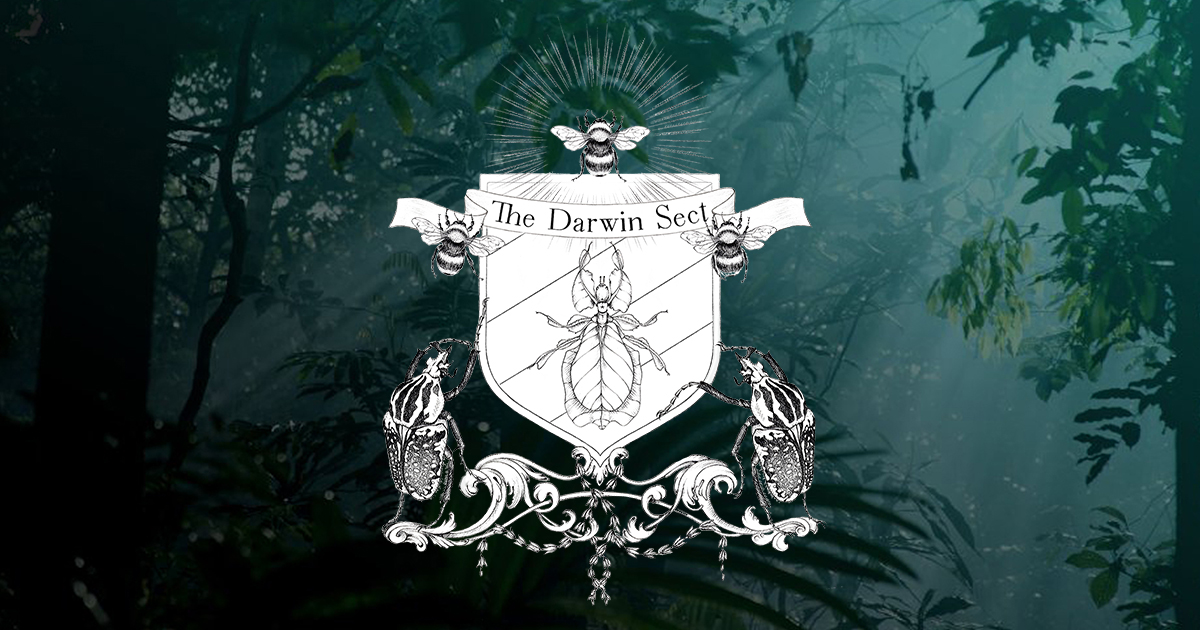 The Darwin Sect